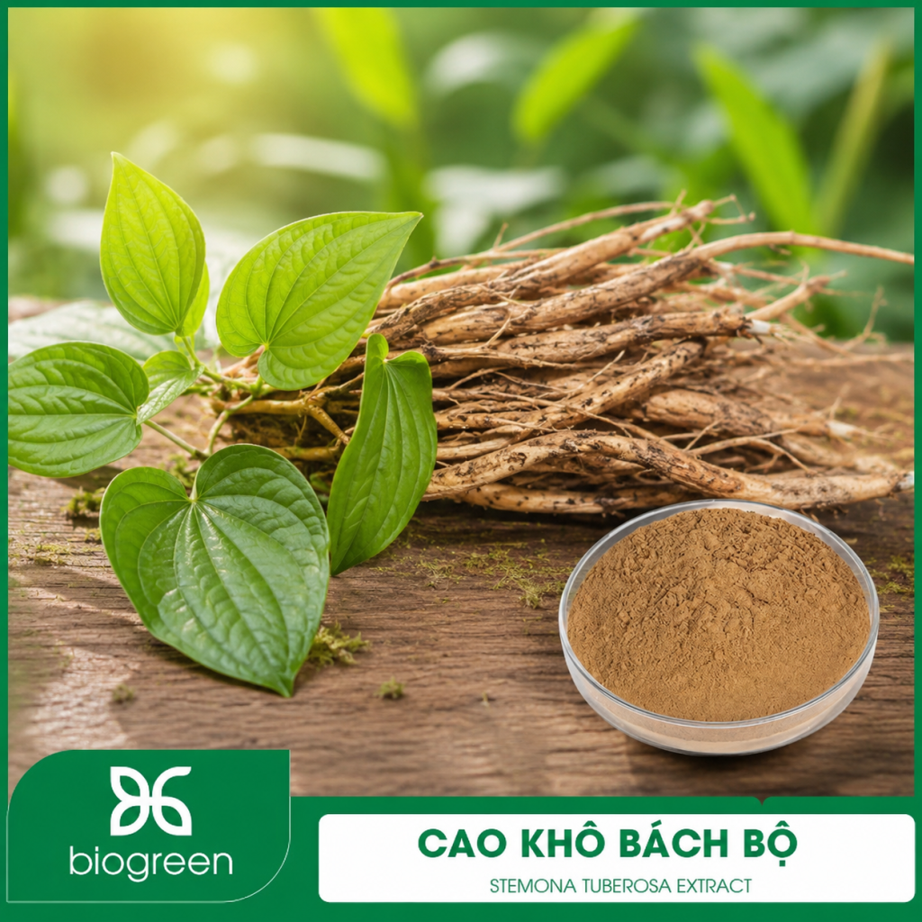 Cao khô Bách bộ